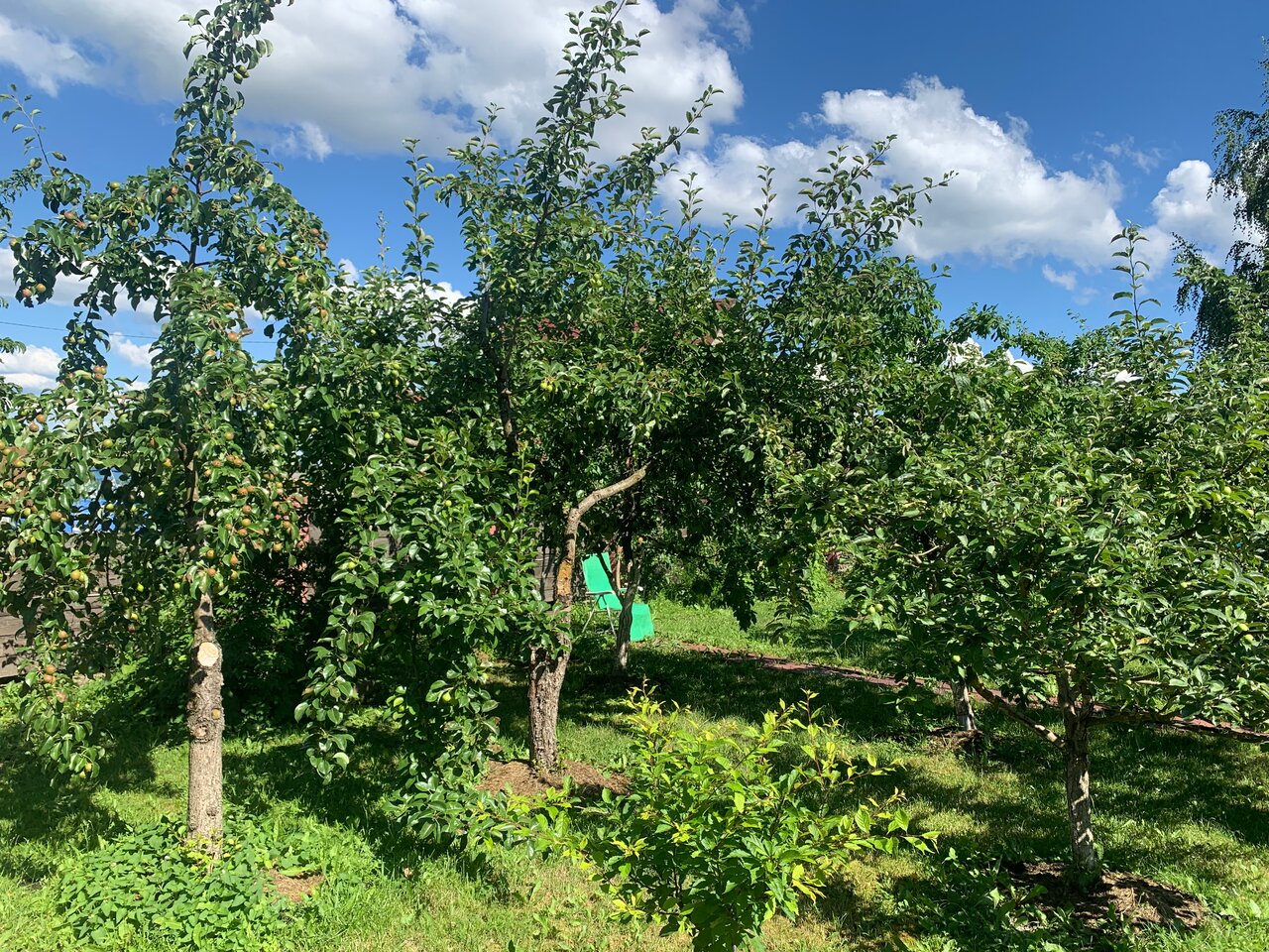 Гостиница Три клена Великий Новгород-69