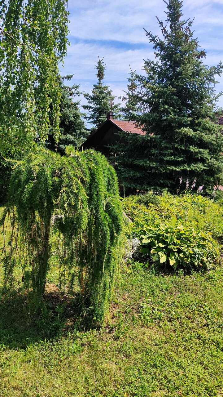 Гостиница Три клена Великий Новгород-53