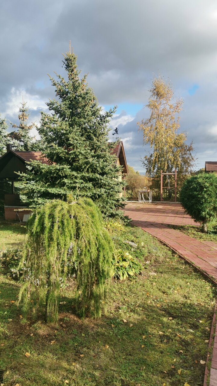 Гостиница Три клена Великий Новгород-34