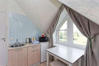 Гостиница Три клена Великий Новгород Стандартный номер-студия-8