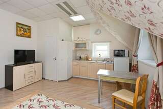 Гостиница Три клена Великий Новгород Стандартный номер-студия-4