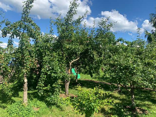 Гостиница Три клена Великий Новгород-68