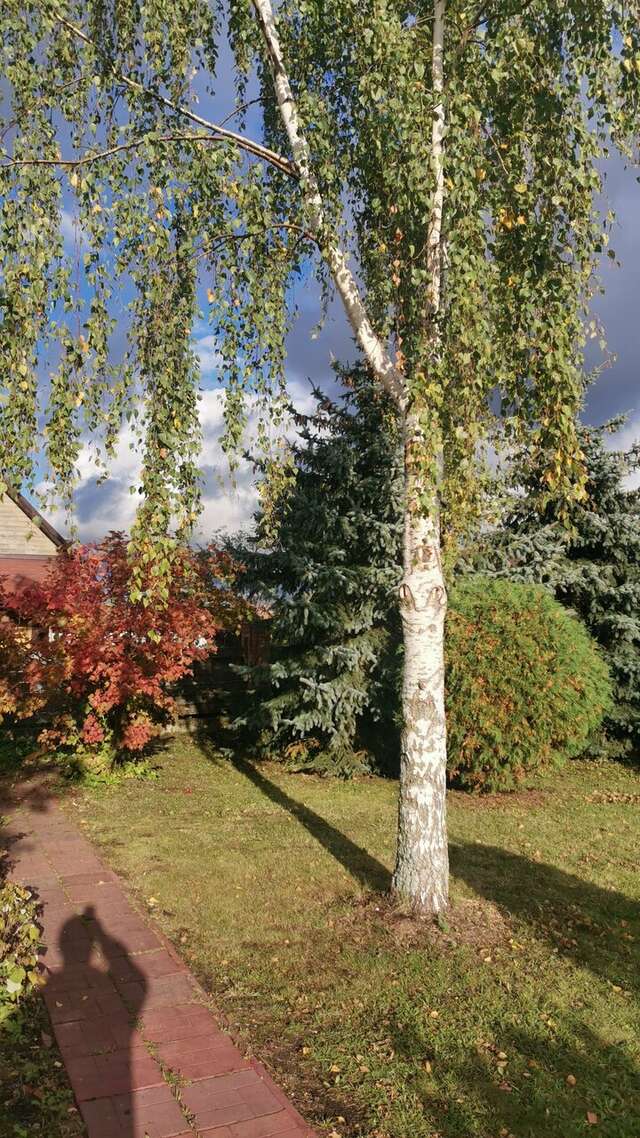 Гостиница Три клена Великий Новгород-28