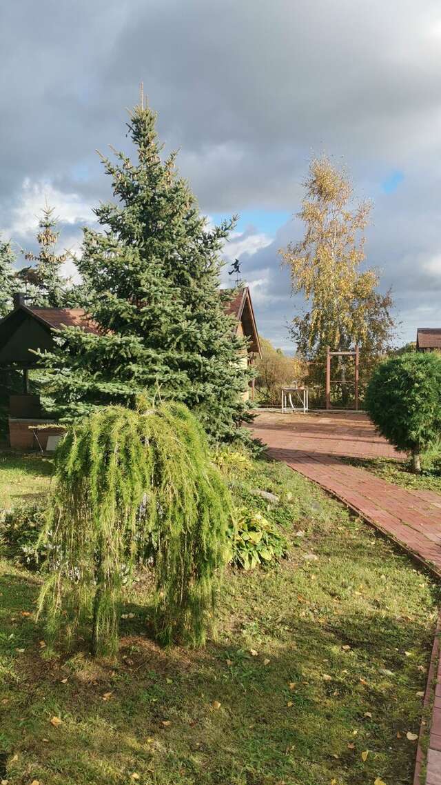 Гостиница Три клена Великий Новгород-33